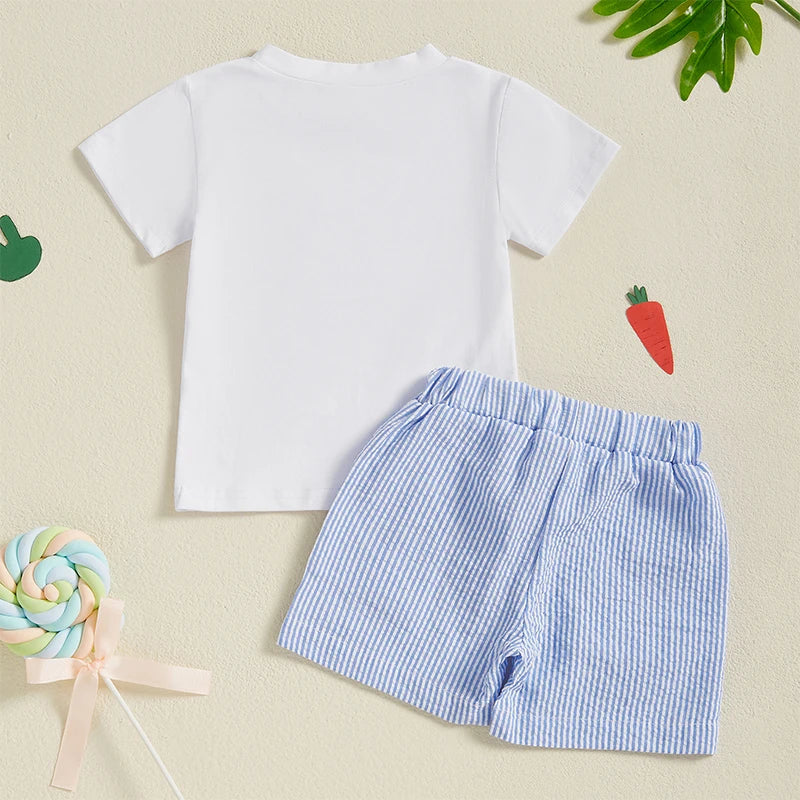 Boys Easter Outfit Summer Clothes, Carrot Cart Short Sleeve T-Shirt & Plaid Shorts Set, Cute Toddler Baby Boy Easter Outfit for 0-3T