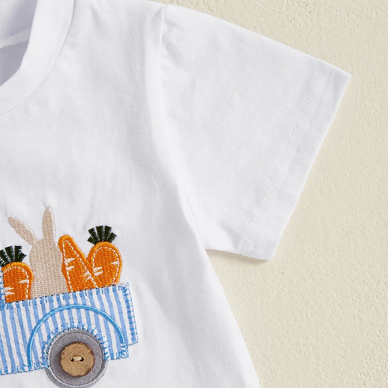 Boys Easter Outfit Summer Clothes, Carrot Cart Short Sleeve T-Shirt & Plaid Shorts Set, Cute Toddler Baby Boy Easter Outfit for 0-3T